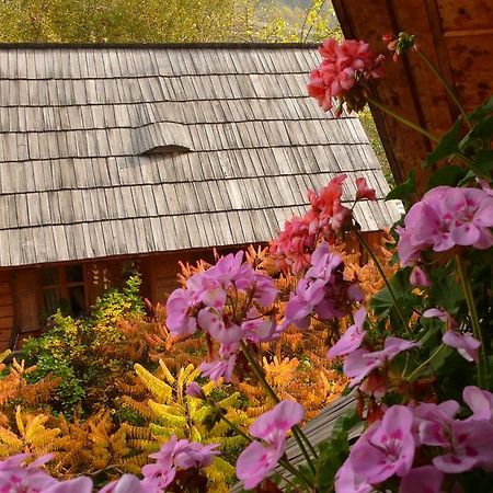 Woodenhouse Maramures Viseu de Sus Exterior photo