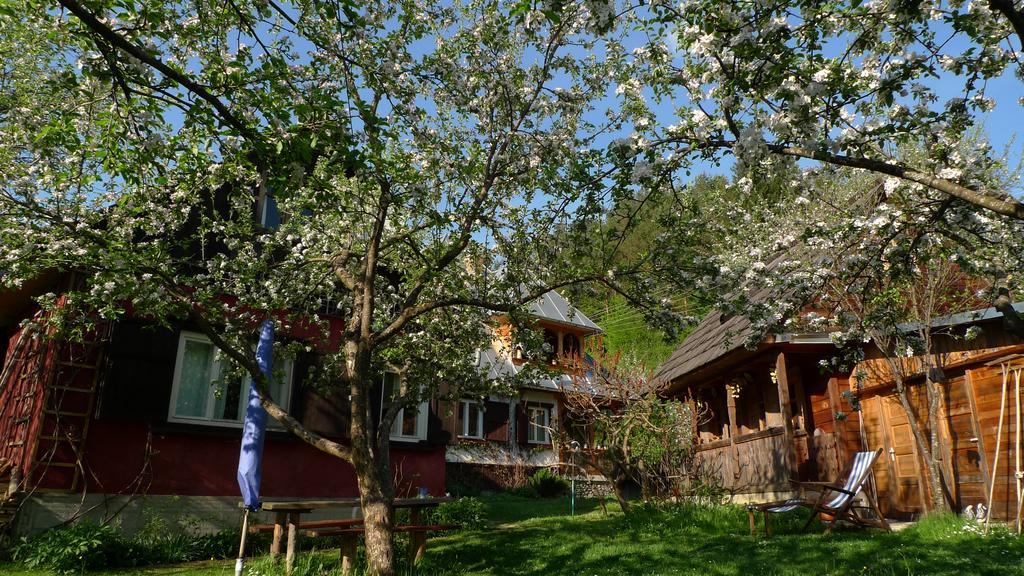 Woodenhouse Maramures Viseu de Sus Exterior photo