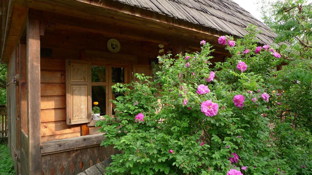 Woodenhouse Maramures Viseu de Sus Exterior photo